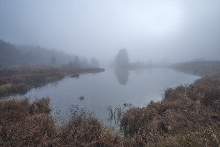 осенний туман