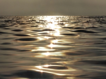 Волна. Солнце в тумане