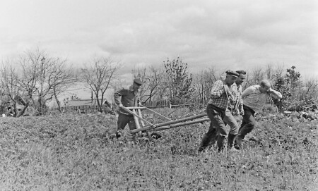 Вот мчится тройка удалая... ))