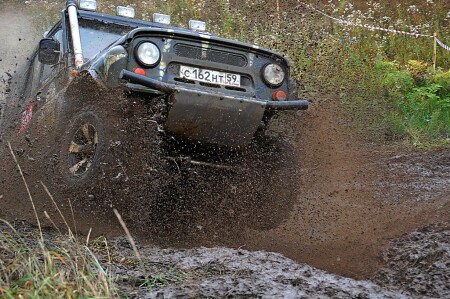 Взбрыкнул...