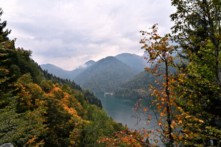 первое золото