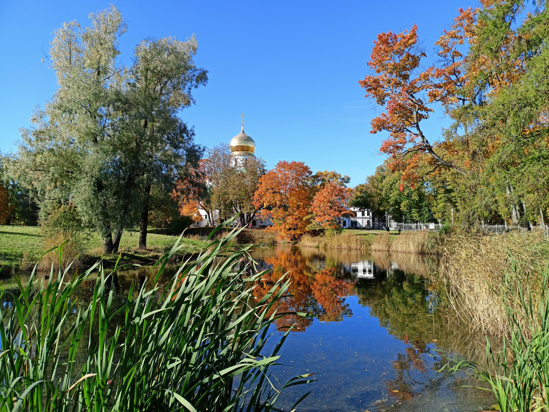 Осенняя зарисовка