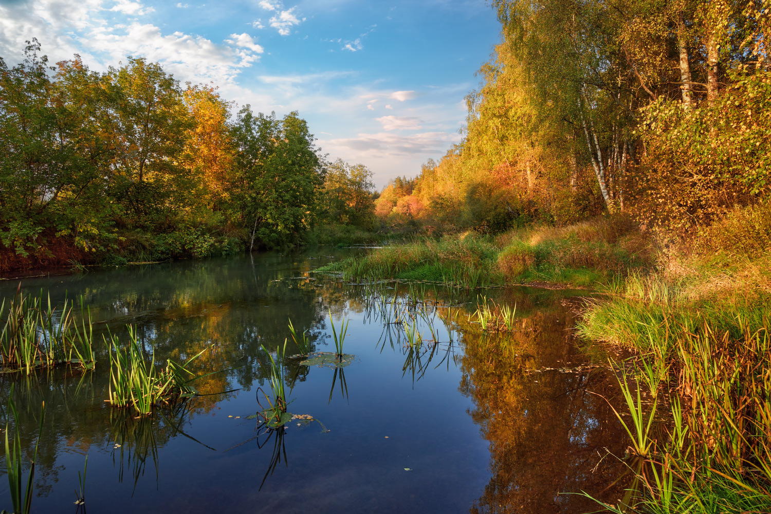 осенний пейзаж
