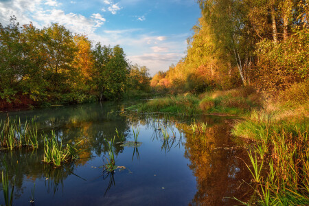 осенний пейзаж