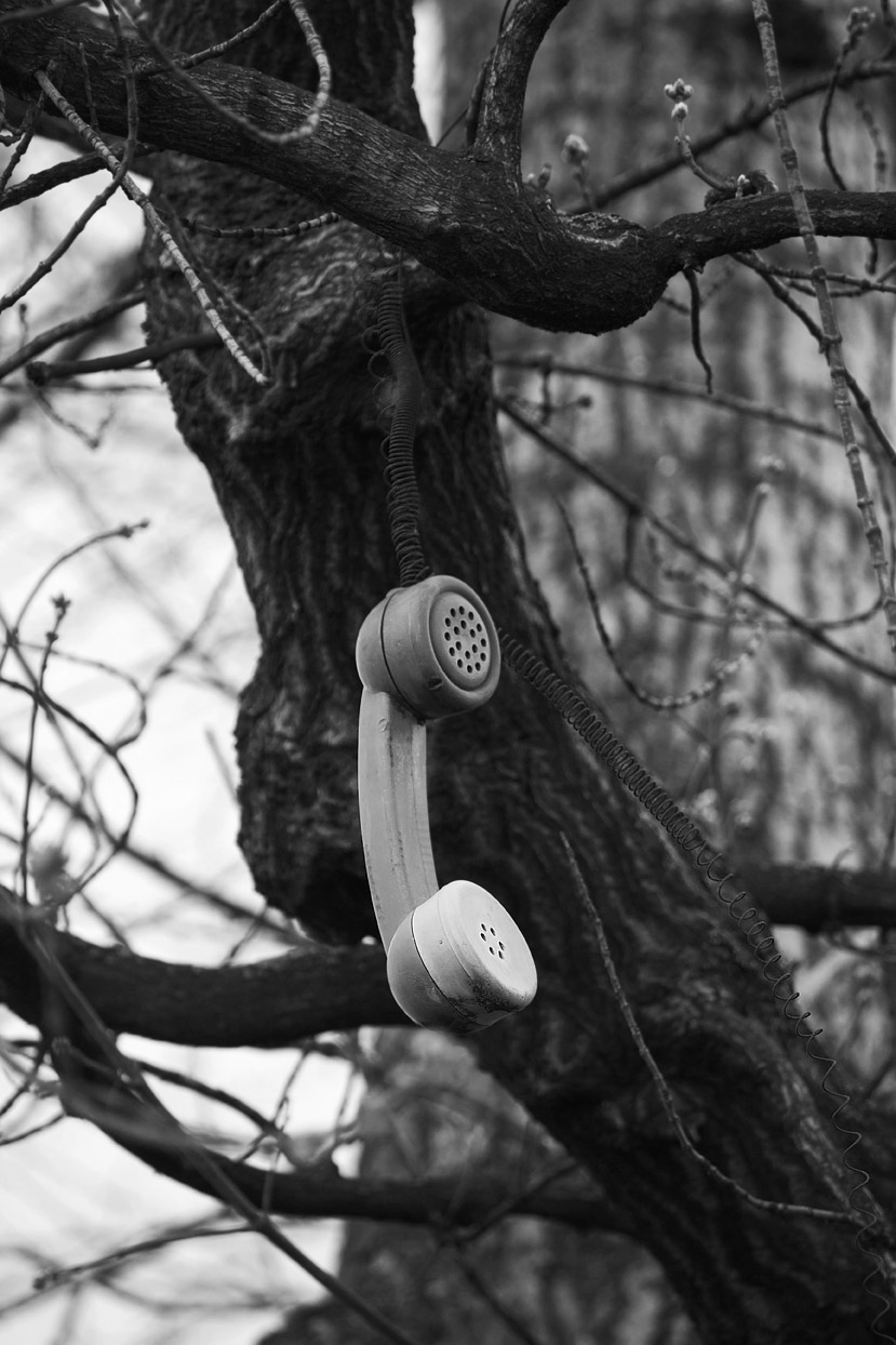 Алло,говорите!