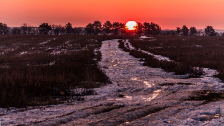 Весеннее солнце