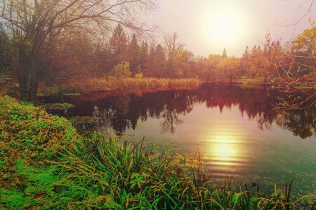 Солнце понебу гуляло