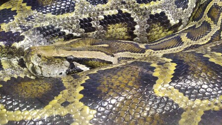 Не мешай мне думать...