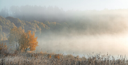 Осенние туманны.
