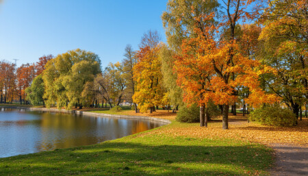 Краски осени 2025