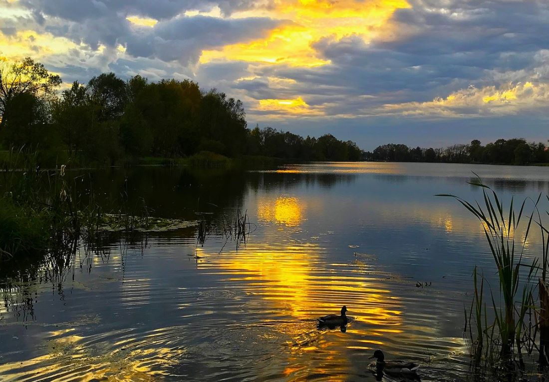 На закате дня