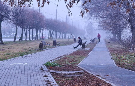 Утро туманное.