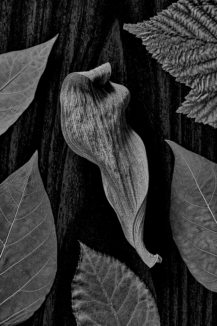 Осенний натюрморт.