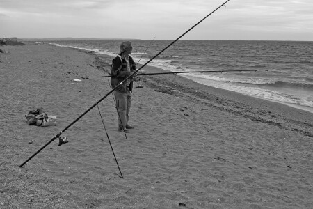 Ловись рыбка