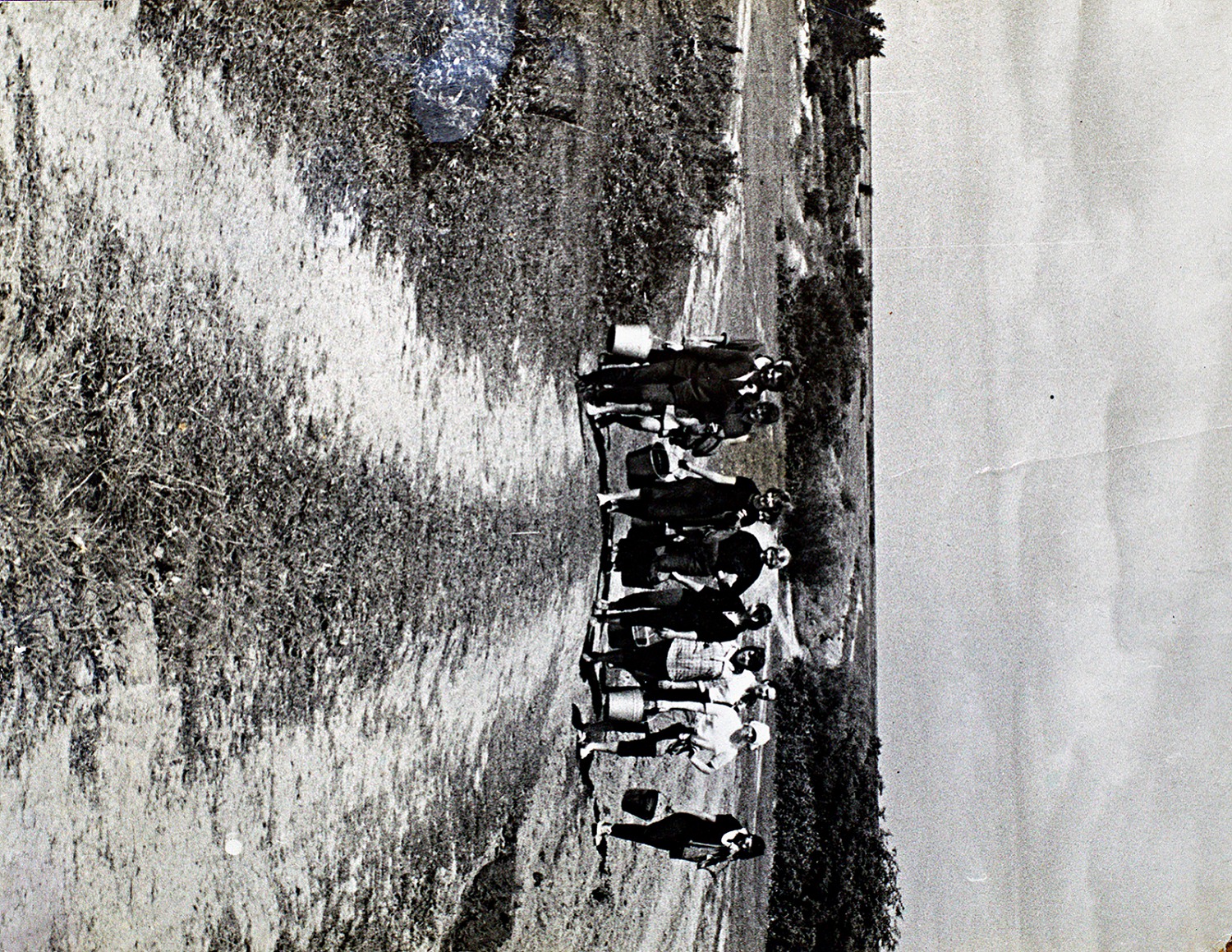 Студенты - первокурсники ДВИСТ на уборке картофеля