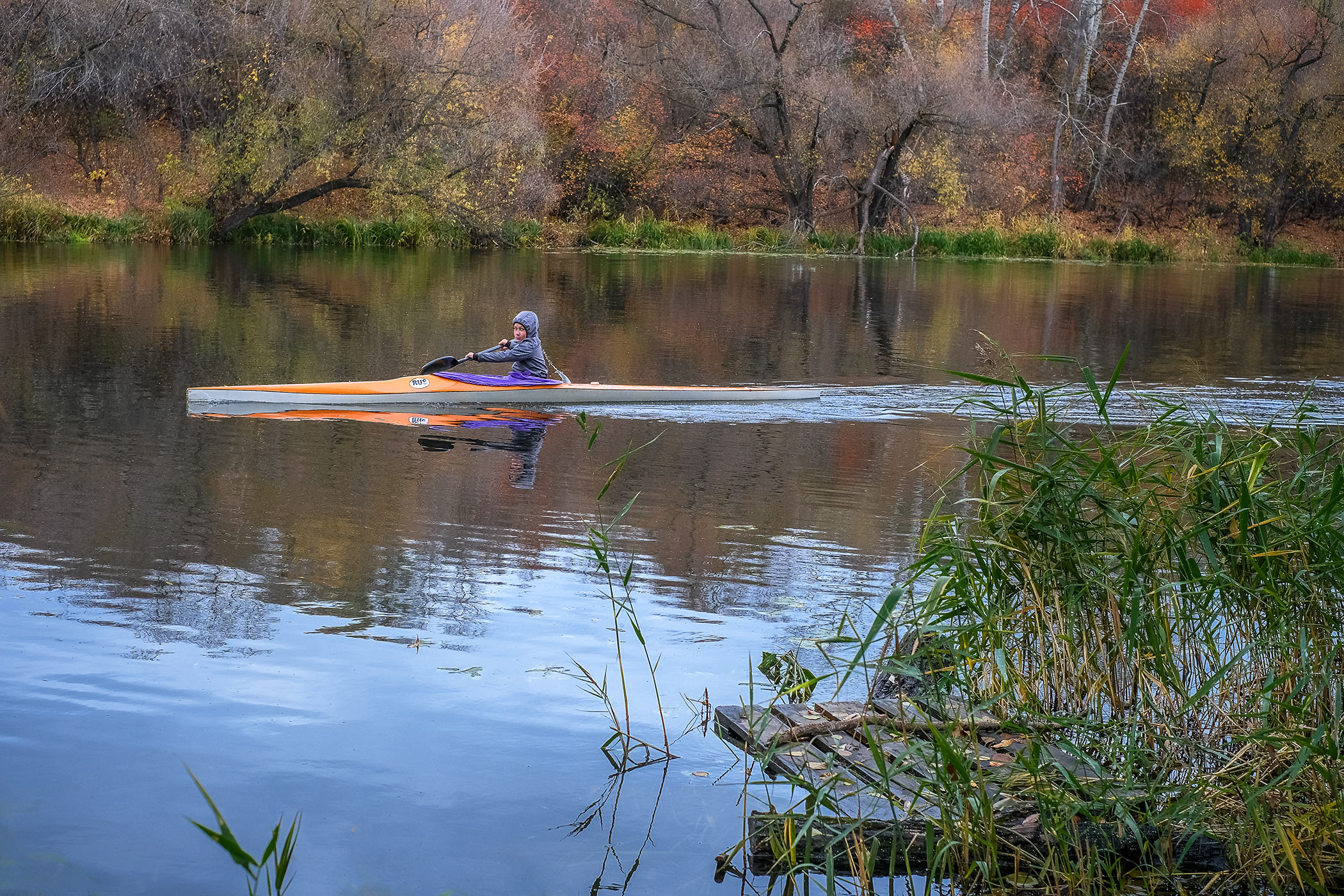Тренировка...