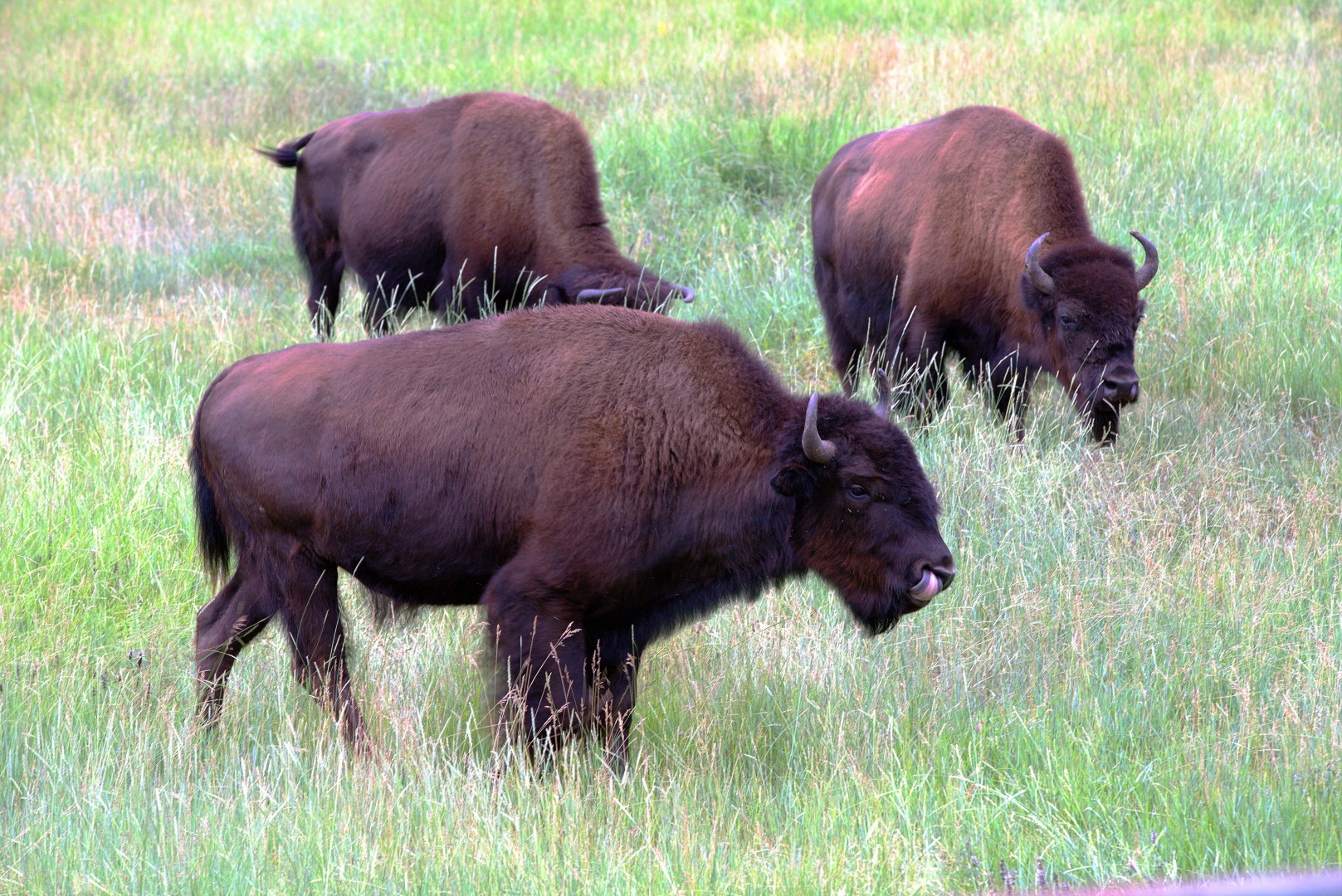 Русский Север. Усть-Ленский заповедник