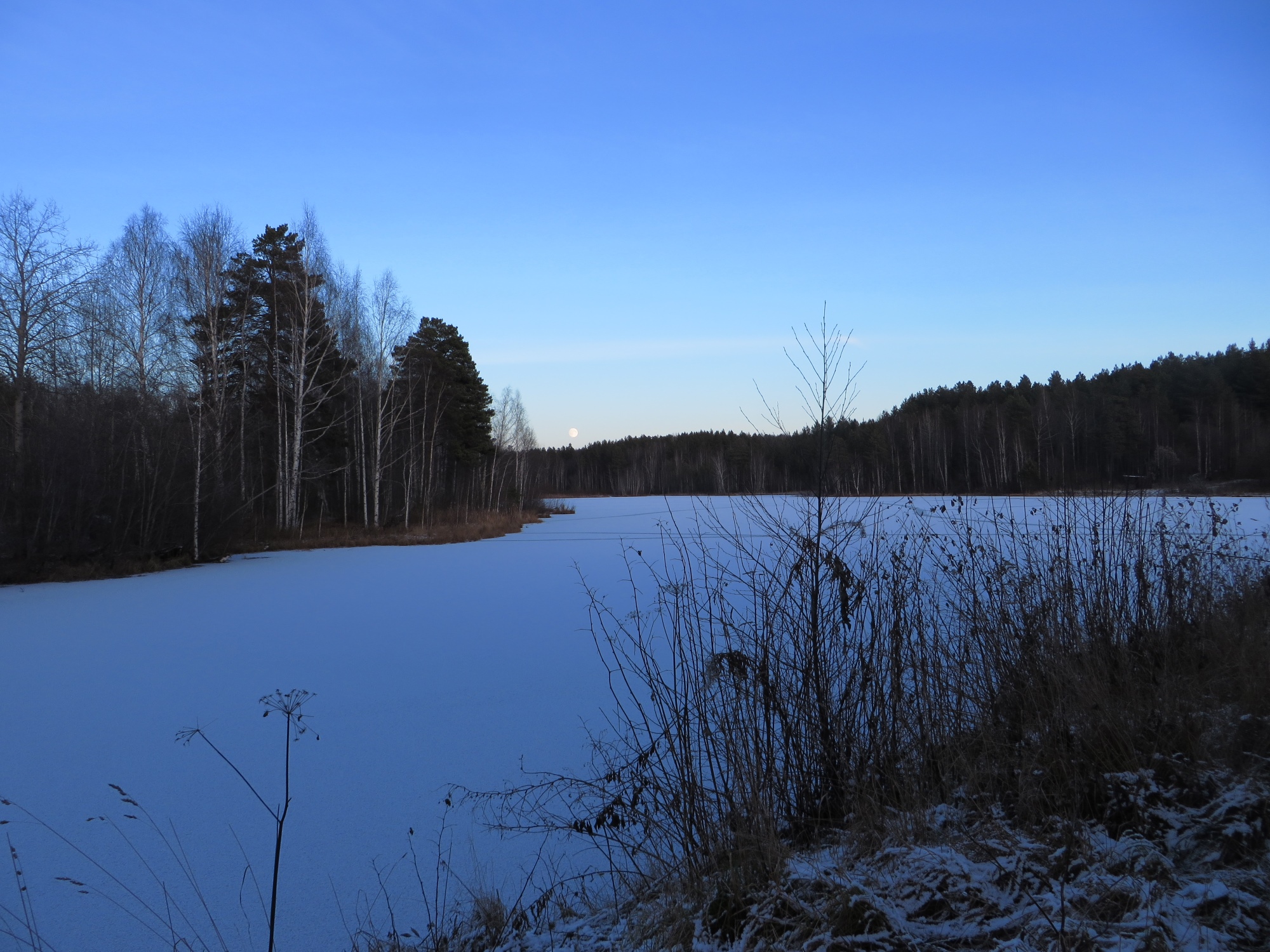 Первые холода