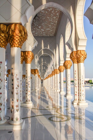 Мечеть Шейха Заида