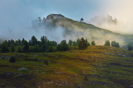 ... приближающейся осени