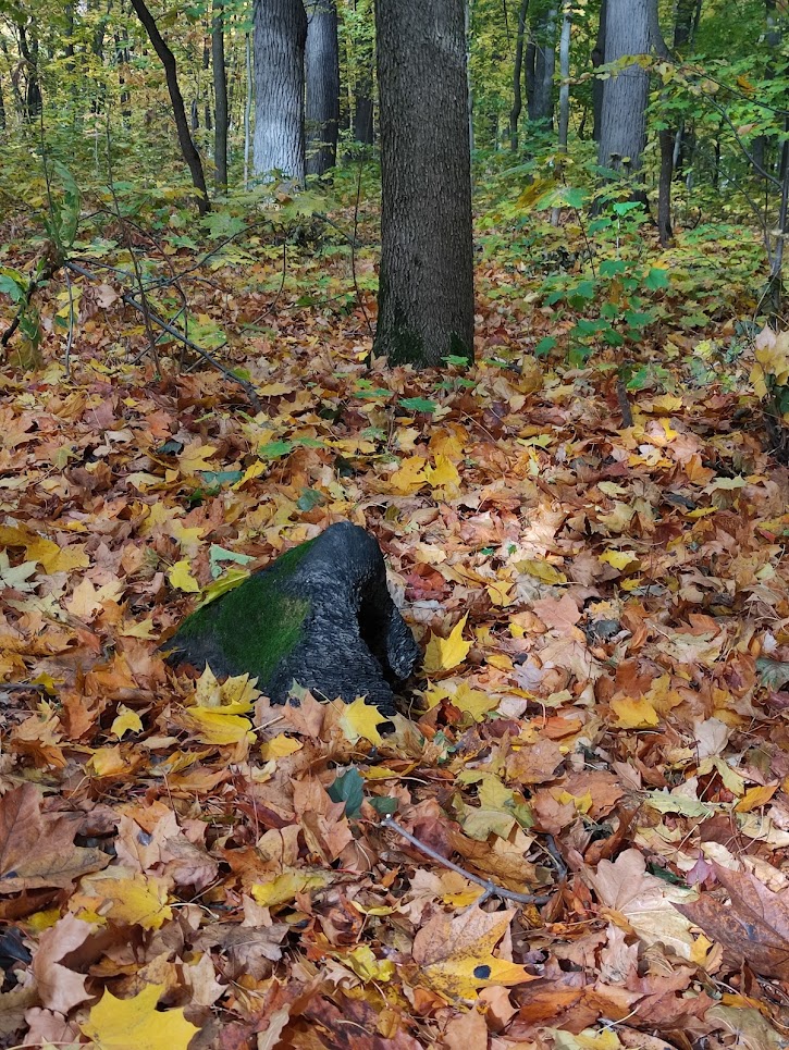 Кто вылез подышать?