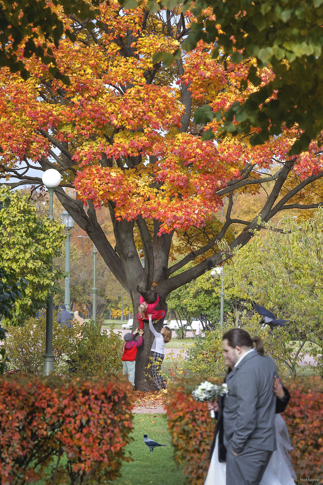 На Марсовом поле. С-Пб., октябрь 2025.