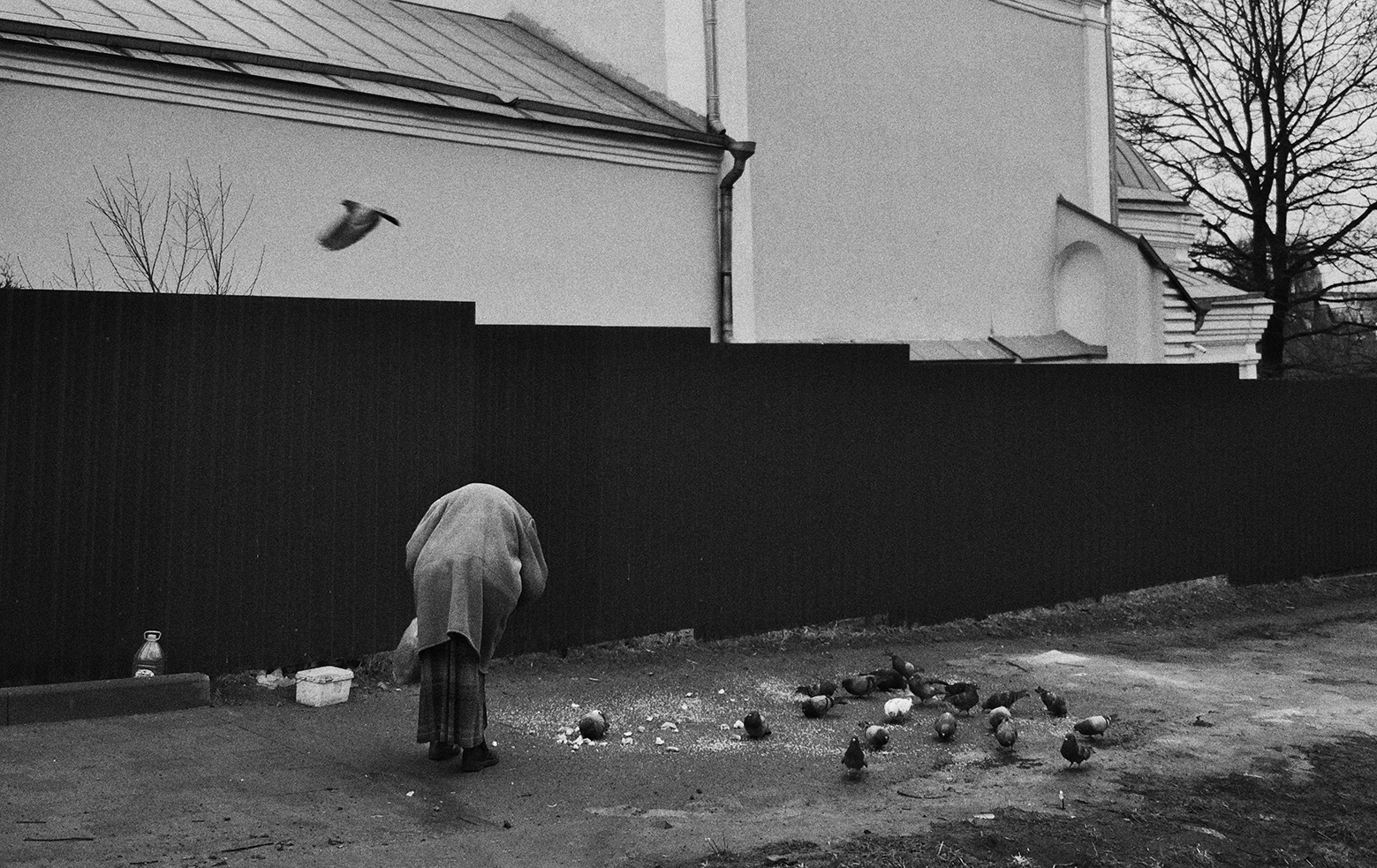 ... (Смоленск, 2025)