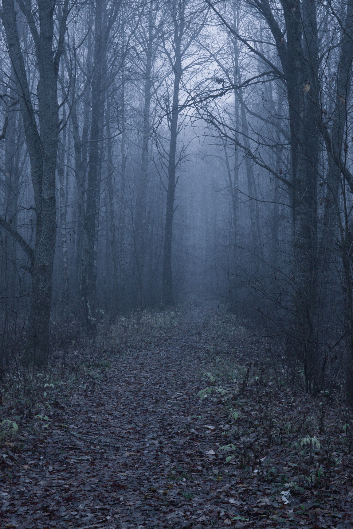 Туманные пути