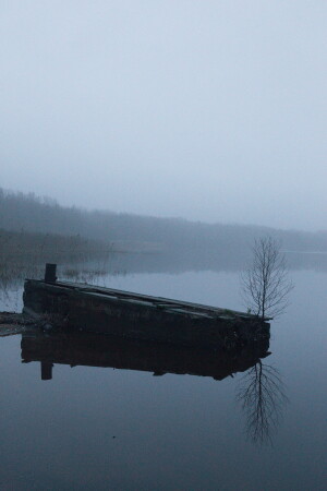 "Вставал туман, как призрак ..."(с)