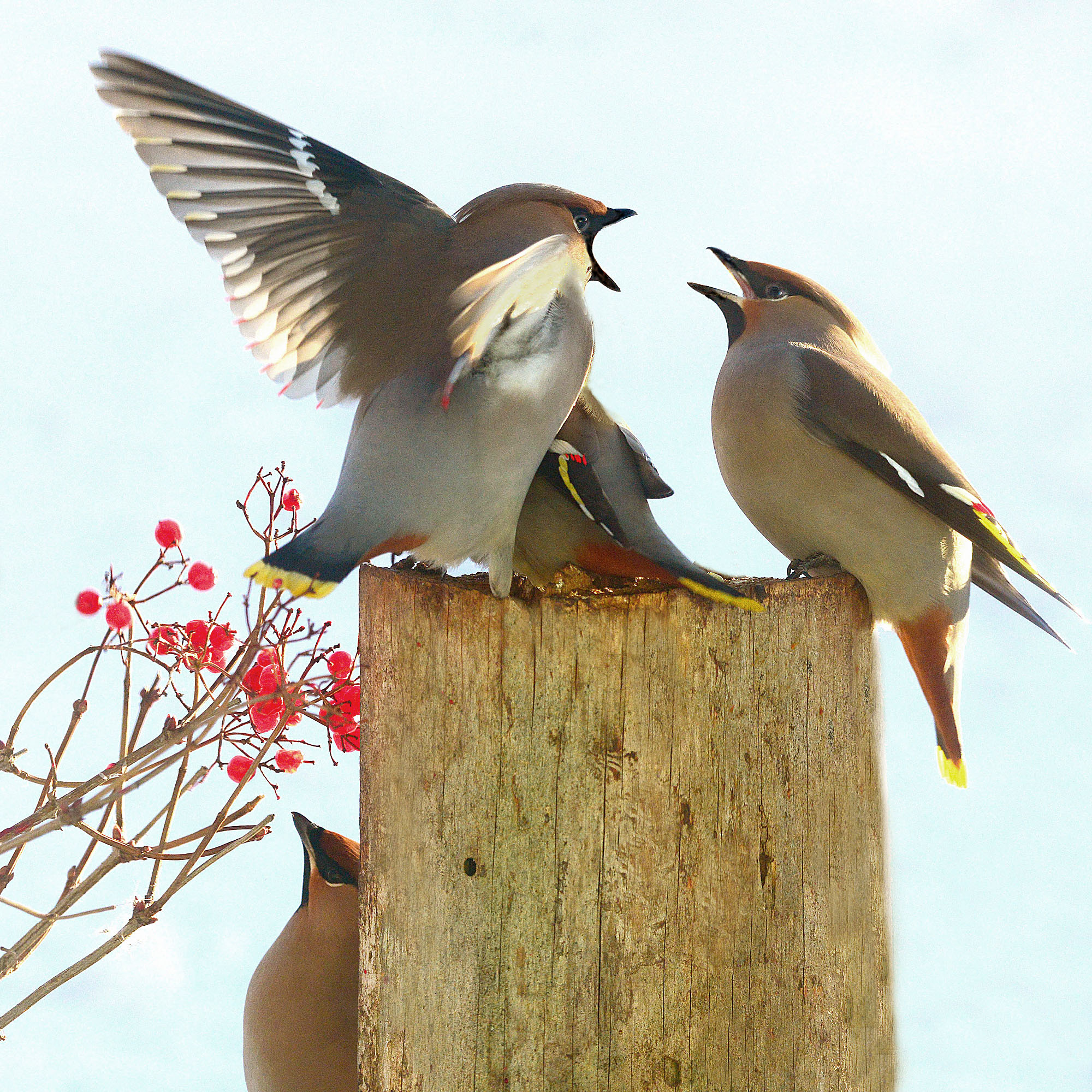 Конфликт на ровном месте