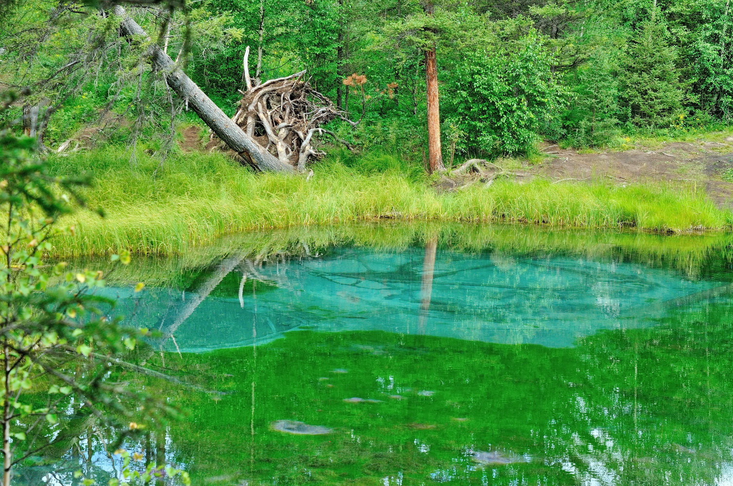 гейзеровое озеро#1