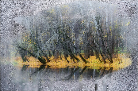 Настроение осень