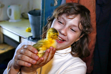 Любимые питомцы.