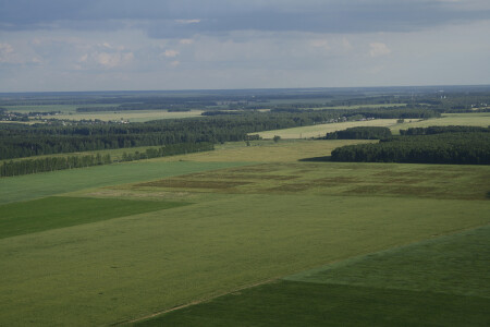 Мячи и гетры