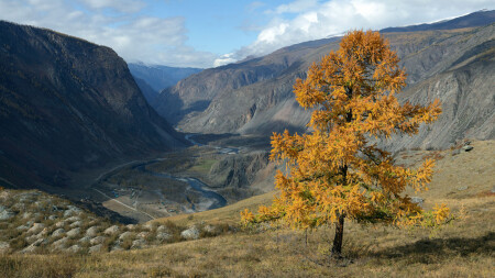 Долина Чулышмана...