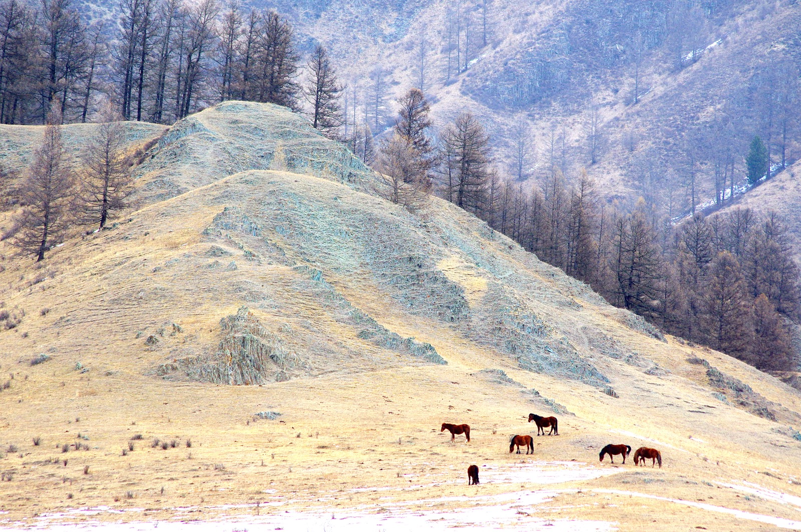 Где-то на Алтае
