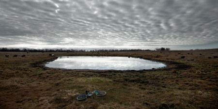 Транспорт пастуха