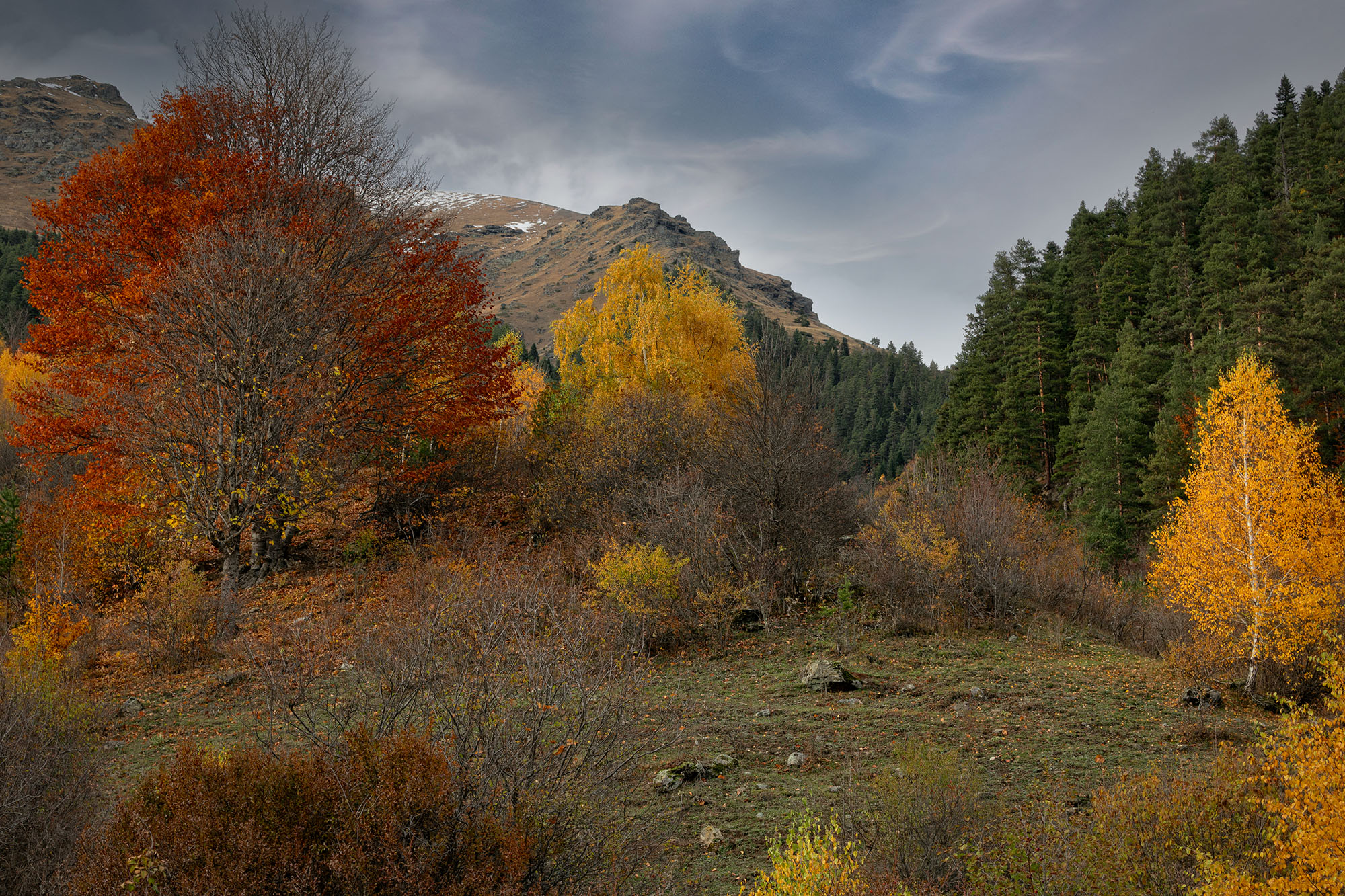 Архыз. Краски осени