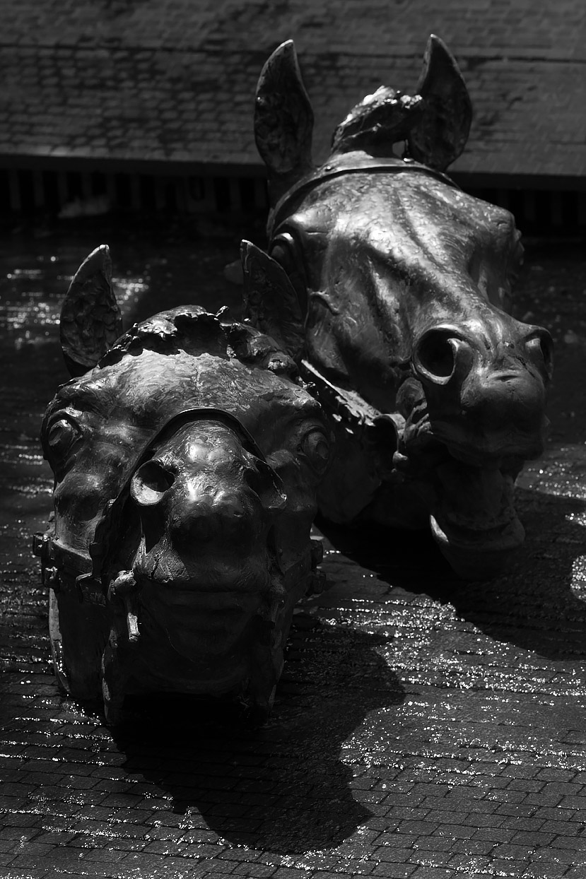 "Ржание" коней на водопое