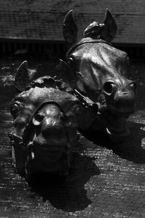 "Ржание" коней на водопое