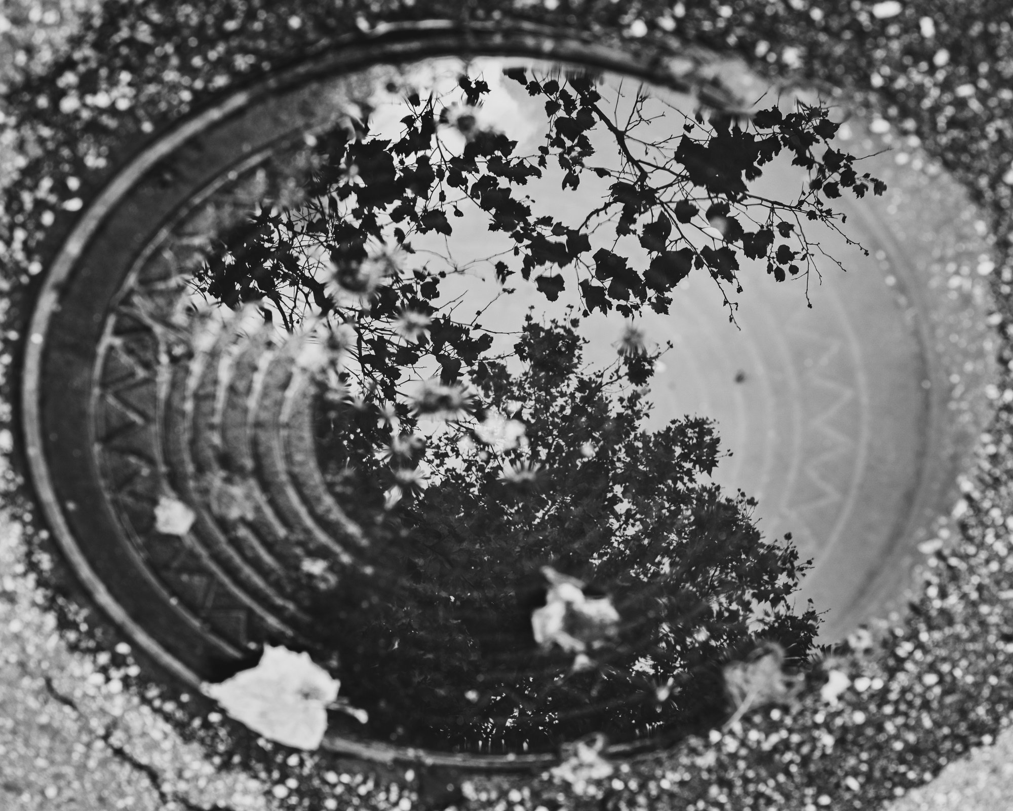 Осенний портал