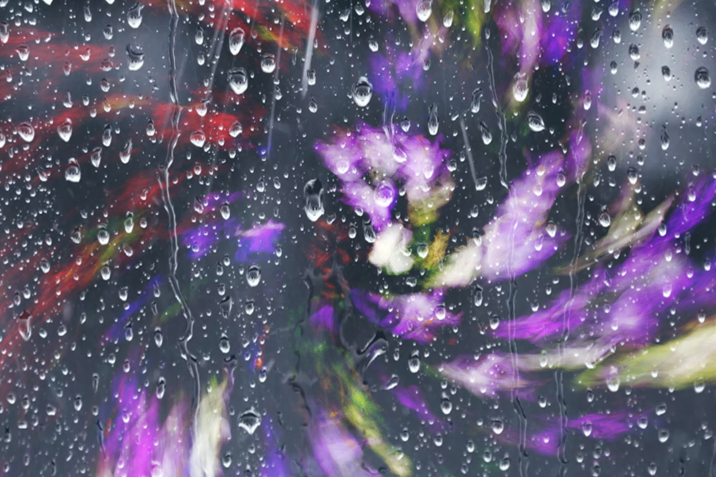 Оптические иллюзии