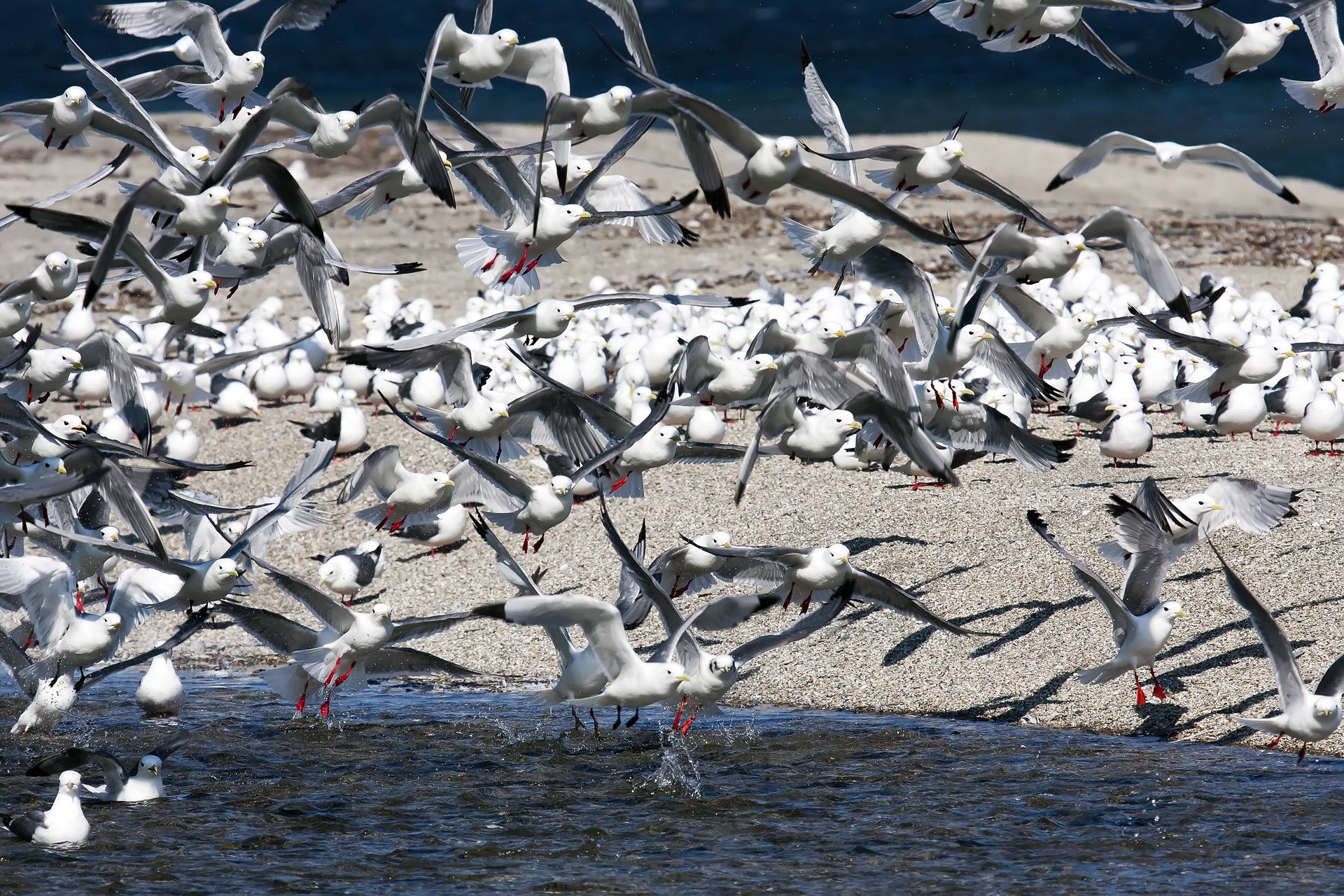 Синхронность полёта