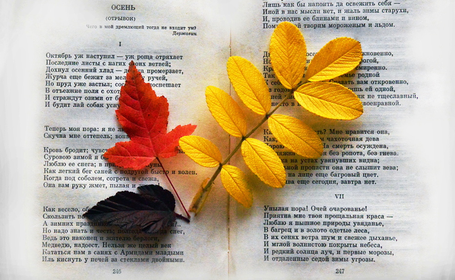 А.Пушкин. Унылая пора! ...