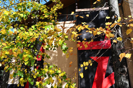 в переулках осени