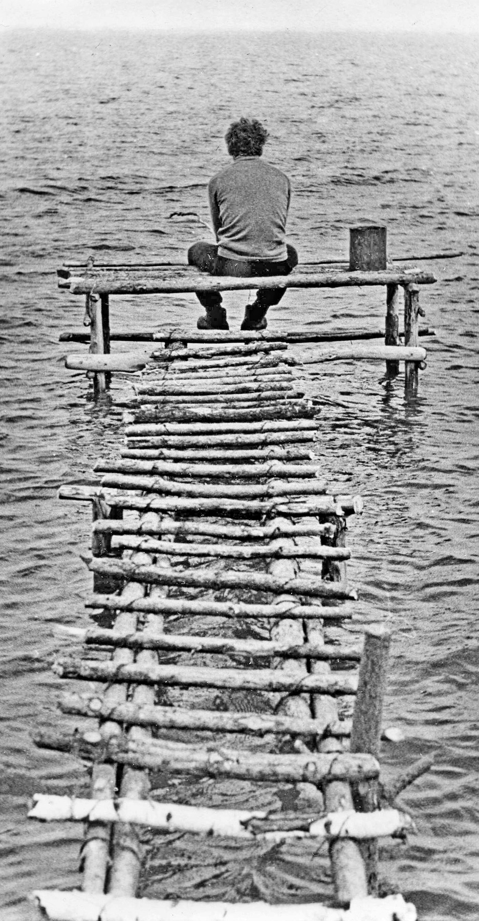 На берегу пустынных волн