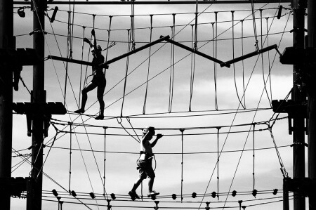 Как по нотам...