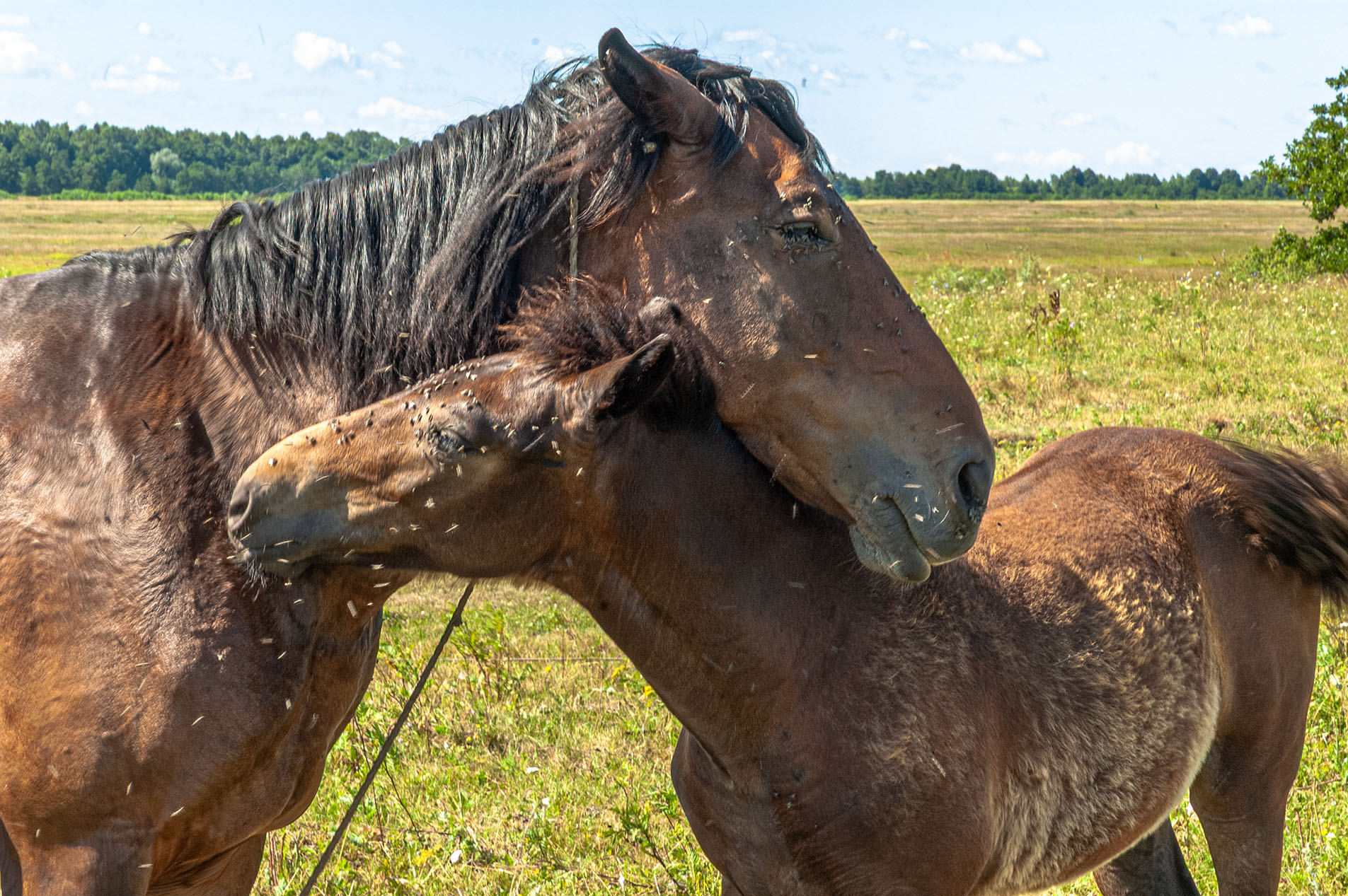 Материнство.