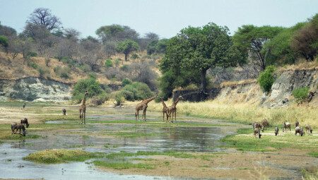 Безмятежность... 