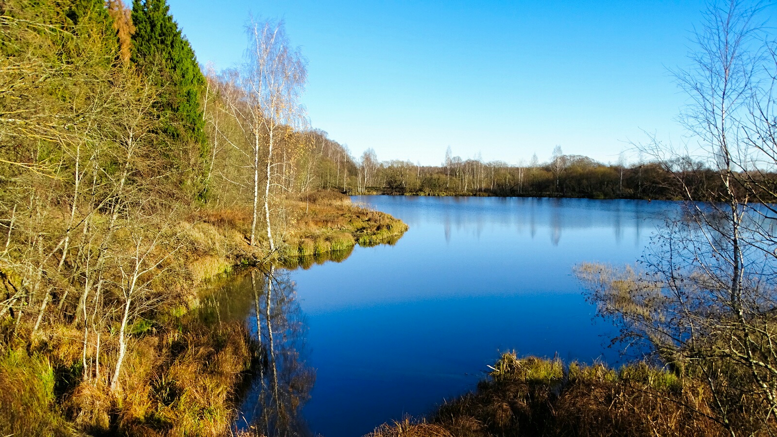 Природа Смоленщины 